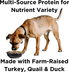BIXBI Liberty Game Bird Feast Fresh Turkey, Quail & Duck Dry Dog Food, 22-lb bag slide 2 of 8