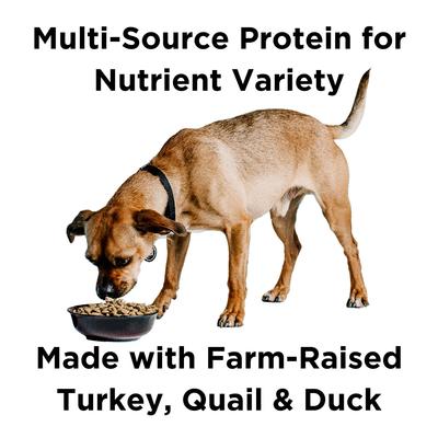 Show full view: BIXBI Liberty Game Bird Feast Fresh Turkey, Quail & Duck Dry Dog Food, 22-lb bag slide 3 of 10