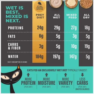 Show full view: Tiki Cat Solutions Topper Skin Coat Salmon Recipe in Broth Wet Cat Food Topper, 1.5-oz pouch, case of 12 slide 8 of 13