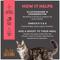 Show in main carousel: Tiki Cat Solutions Topper Mobility Chicken Recipe in Broth Wet Cat Food Topper, 1.5-oz pouch, case of 12 slide 6 of 13