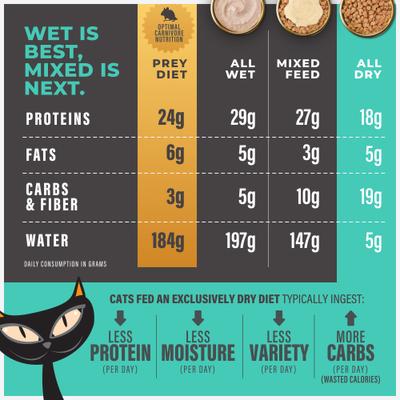 Show full view: Tiki Cat Solutions Skin & Coat Salmon & Herring Grain-Free Dry Cat Food, 5.6-lb bag slide 8 of 13