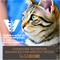 Show in main carousel: Tiki Cat Solutions Mousse Dental Chicken Recipe in Broth Grain-Free Wet Cat Food, 2.4-oz pouch, case of 12 slide 9 of 12