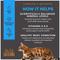 Show in main carousel: Tiki Cat Solutions Mineral Balance Chicken Grain-Free Dry Cat Food, 5.6-lb bag slide 6 of 13