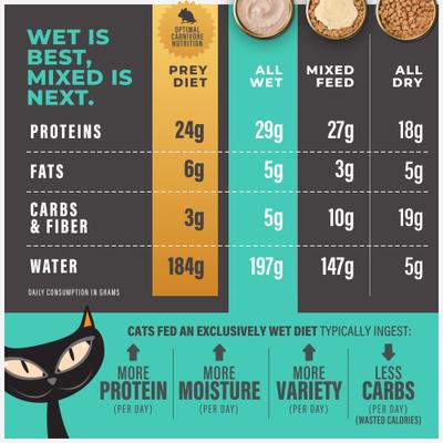 Show full view: Tiki Cat Solutions Function Formula Skin & Coat Salmon Recipe in Broth Wet Cat Food, 2.4-oz, case of 12 slide 8 of 13