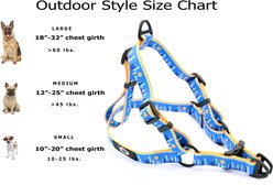 Euro-Dog Outdoor Style Nylon Harness & Leash Set, Frozen Forest, Large: 22 to 30-in chest slide 2 of 3