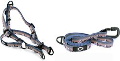 Euro-Dog Outdoor Style Nylon Harness & Leash Set, Mountain Sunset, Medium: 18 to 26-in chest