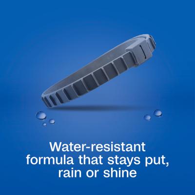 Show full view: Adams Flea & Tick Collar Plus for Dogs & Puppies, 2 count slide 5 of 12