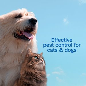 Adams Plus Flea & Tick Shampoo Sensitive Skin for Cats & Dogs, 12-fl oz bottle