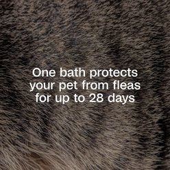 Adams Plus Flea & Tick Shampoo Sensitive Skin for Cats & Dogs, 12-fl oz bottle slide 2 of 9