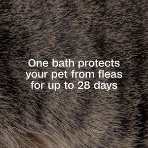 Adams Plus Flea & Tick Shampoo Sensitive Skin for Cats & Dogs, 12-fl oz bottle