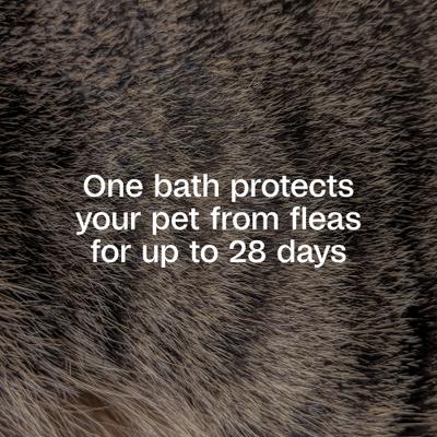 Adams Plus Flea & Tick Shampoo with Precor