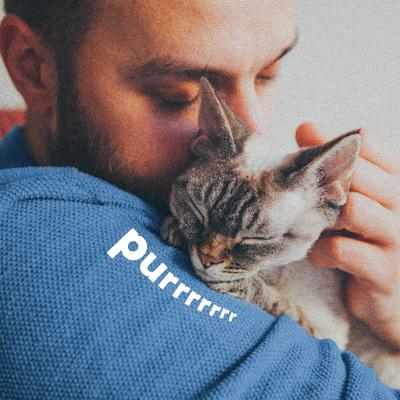 Show full view: Adams Plus Flea & Tick Breakaway Collar for Cats, 1 count slide 6 of 11