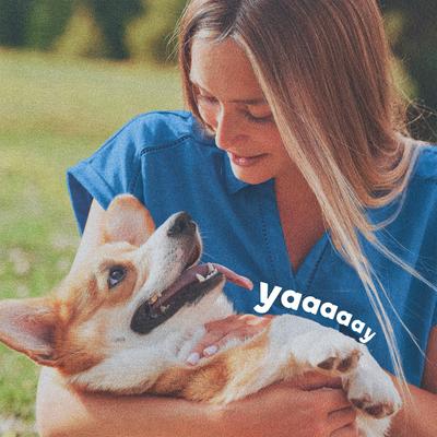 Show full view: Adams Plus Flea & Tick Collar for Dogs, Large slide 6 of 13