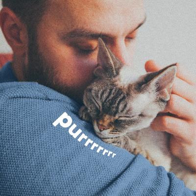 Show full view: Adams Plus Sensitive Skin Formula Flea & Tick Foaming Cat Shampoo, 10-fl oz bottle slide 7 of 12