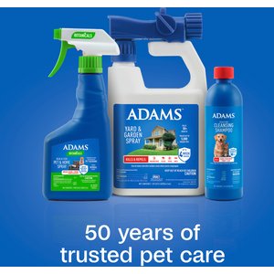 Adams Plus Flea & Tick Shampoo Sensitive Skin for Cats & Dogs, 12-fl oz bottle