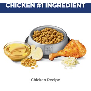 Hill's Science Diet Adult Hairball Control Chicken Recipe Dry Cat Food, 15.5-lb bag