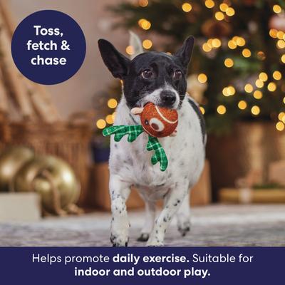 Show full view: Frisco Holiday Festive Fetch Squeaky Tennis Ball Dog Toy, Reindeer, Medium, 1 count slide 4 of 7