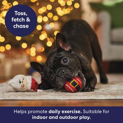 Show full view: Frisco Holiday Festive Fetch Santa Squeaky Tennis Ball Dog Toy, 2 count slide 4 of 8