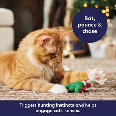 Show full view: Frisco Holiday Dinosaur Sound Electronic Plush Cat Toy with Catnip & Silvervine slide 4 of 8