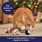 Show in main carousel: Frisco Holiday Reindeer, Penguin & Polar Bear Plastic Ball Cat Toy with Compressed Catnip, 3 count slide 4 of 8
