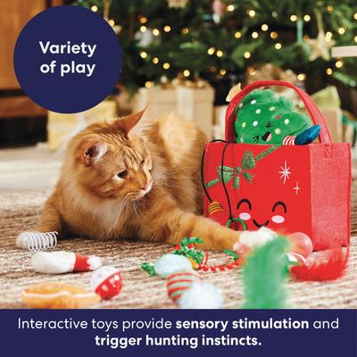 Show full view: Frisco Holiday Brr Basket Variety Pack Cat Toy with Silvervine & Catnip, 15 count slide 5 of 9