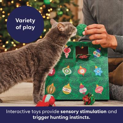 Show full view: Frisco Holiday Advent Calendar for Cats, 12 count slide 5 of 9