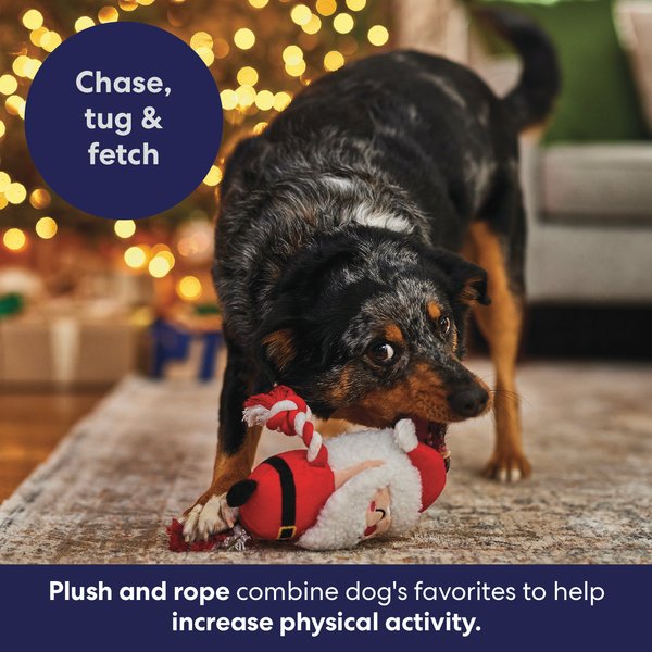 Show full view: Frisco Holiday Santa Plush with Rope Squeaky Dog Toy, Medium slide 4 of 9