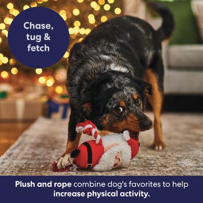 Show full view: Frisco Holiday Santa Plush with Rope Squeaky Dog Toy, Medium slide 5 of 10