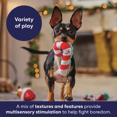 Show full view: Frisco Holiday Reindeer & Candy Cane Plush & Rope Variety Pack Dog Toy, Small, 3 count slide 5 of 10