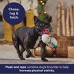 Show in main carousel: Frisco Holiday Snowman Plush with Rope Squeaky Dog Toy, Medium slide 4 of 9