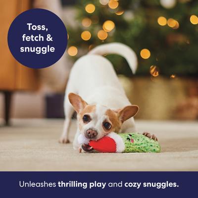 Show full view: Frisco Holiday Christmas Pickle Plush Squeaky Dog Toy, Small slide 4 of 9