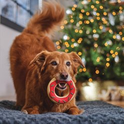 Frisco Holiday Peanut Butter Flavored Donut Rubber Chew Dog Toy for Heavy Chewers, Large/X-Large slide 2 of 7