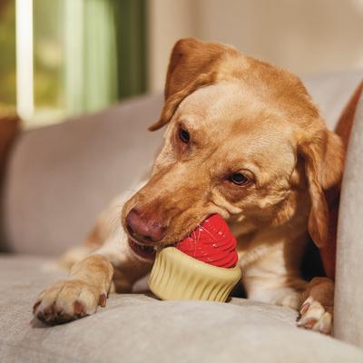 Show full view: Frisco Holiday Vanilla Flavored Cupcake Rubber Chew Dog Toy for Heavy Chewers, Large/X-Large slide 4 of 9