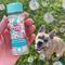 Show in main carousel: Bubble Lick Birthday Cake Flavored Bubbles Dog Toy, 2.5-fl oz bottle slide 4 of 6