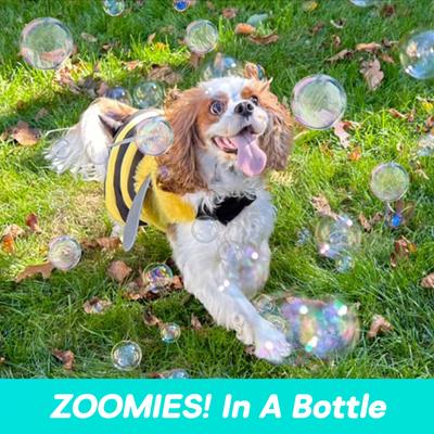 Show full view: Bubble Lick Maple Bacon Flavored Bubbles Dog Toy, 2.5-fl oz bottle slide 2 of 5