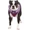Show in main carousel: Puppia Vivien Step-In No-Pull Dog Harness, Purple, Medium slide 4 of 5