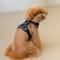 Show in main carousel: Puppia Terry H Suede Adjustable No-Pull Dog Harness, Black, Small slide 5 of 6