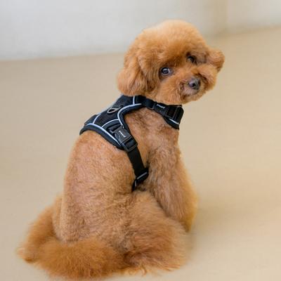 Show full view: Puppia Terry H Suede Adjustable No-Pull Dog Harness, Black, Small slide 5 of 6