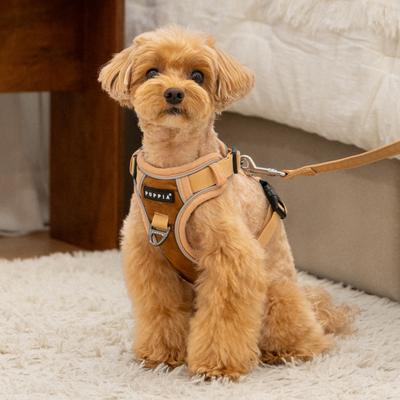Show full view: Puppia Terry H Suede Adjustable No-Pull Dog Harness, Beige, Large slide 4 of 5