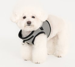 Puppia Amatus Vest B Step-In No-Pull Dog Harness, Black, X-Large slide 2 of 4