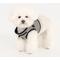 Show in main carousel: Puppia Amatus Vest B Step-In No-Pull Dog Harness, Black, Medium slide 4 of 5