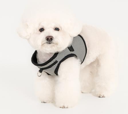 Show full view: Puppia Amatus Vest B Step-In No-Pull Dog Harness, Black, Medium slide 4 of 5