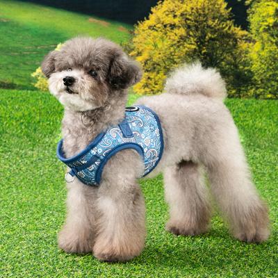 Show full view: Puppia Cynthia Vest B Step-In No-Pull Dog Harness, Blue, Large slide 4 of 5