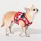 Show in main carousel: Puppia Festive Vest Step-In No-Pull Dog Harness, Red, Medium slide 5 of 7