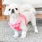Show in main carousel: Puppia Vivien Step-In No-Pull Dog Harness, Pink, Large slide 4 of 5