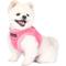 Show in main carousel: Puppia Terry Step-In No-Pull Dog Harness, Pink, Large slide 4 of 5