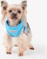 Puppia Dotty Step-In No-Pull Dog Harness, Sky Blue, Medium slide 2 of 4