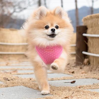 Show full view: Puppia Dotty Step-In No-Pull Dog Harness, Pink, Medium slide 3 of 4