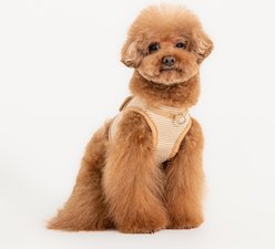 Puppia Amatus Vest B Step-In No-Pull Dog Harness, Beige, Medium slide 2 of 4