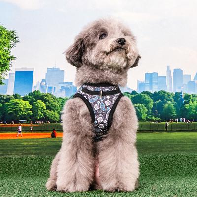 Show full view: Puppia Cynthia Vest B Step-In No-Pull Dog Harness, Black, Small slide 3 of 4